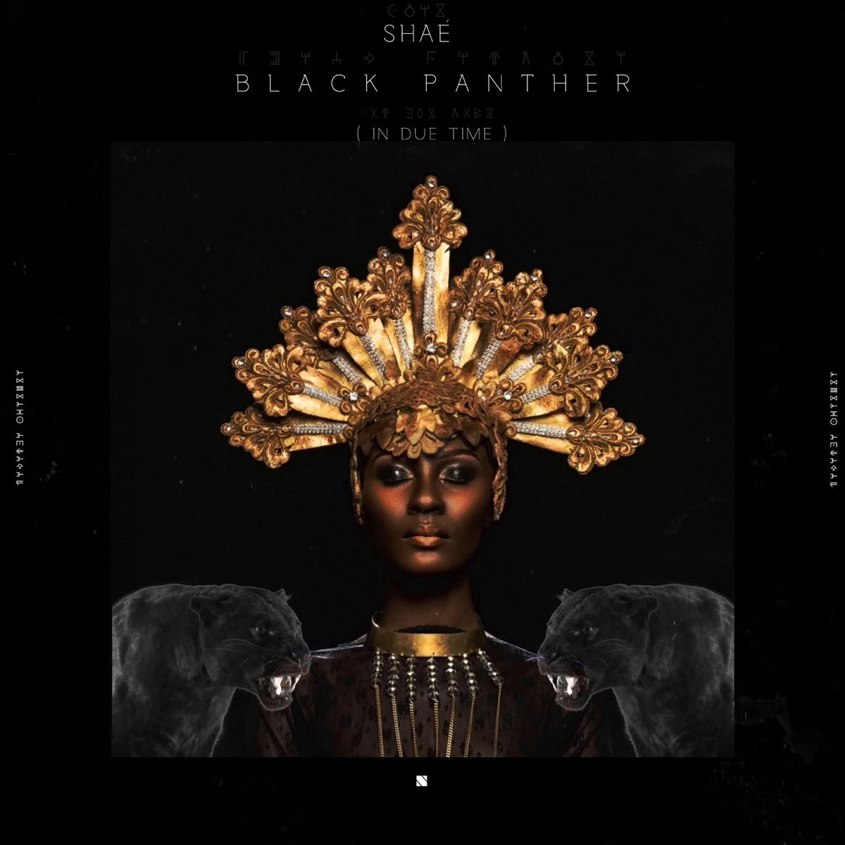 دانلود آهنگ Black Panther (In Due Time) از Shaé Universe