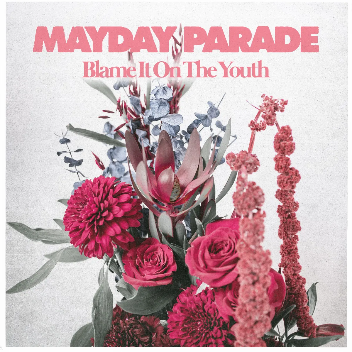 دانلود آهنگ Blame It On The Youth از Mayday Parade