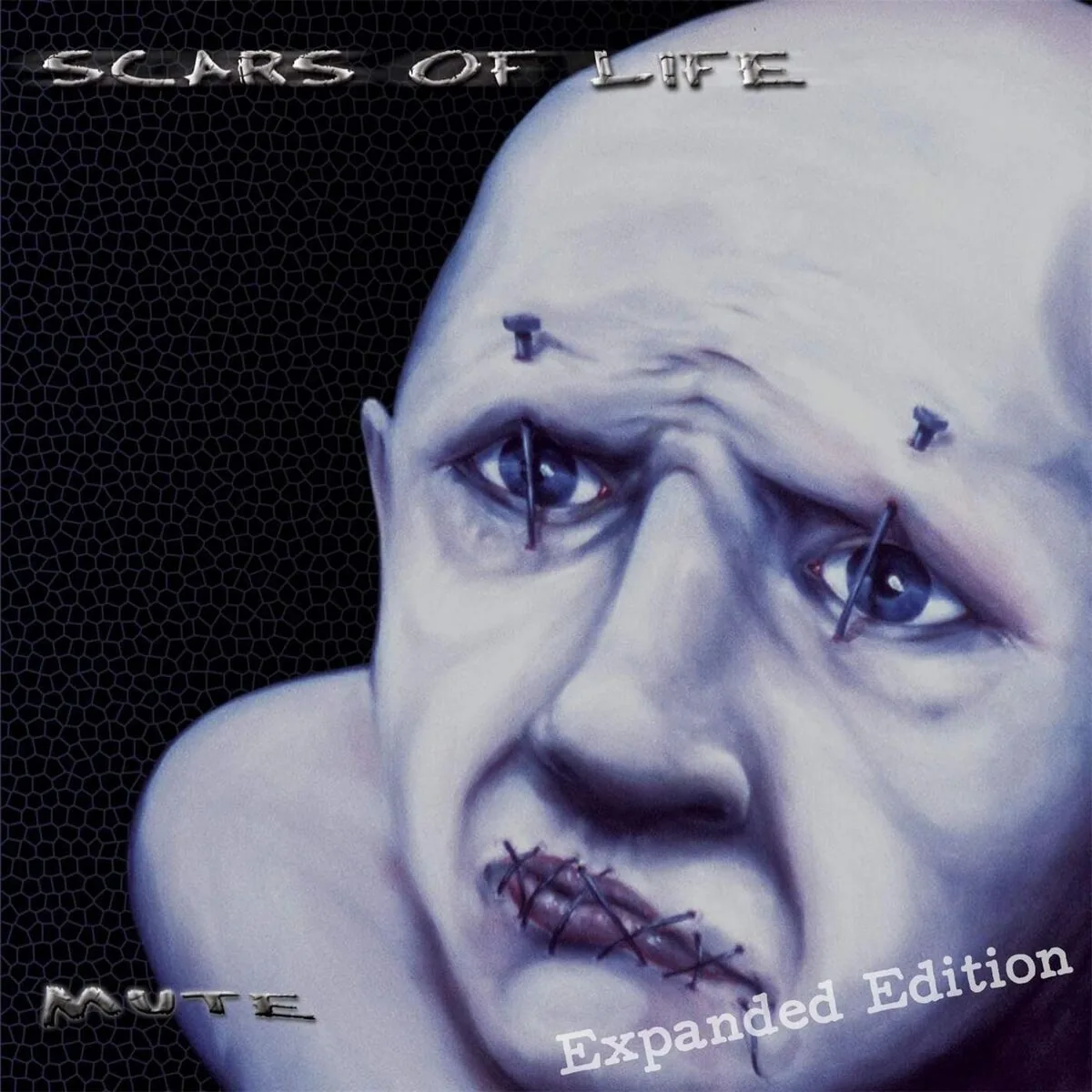 دانلود آهنگ Bullet with Your Name (Live) از Scars of Life