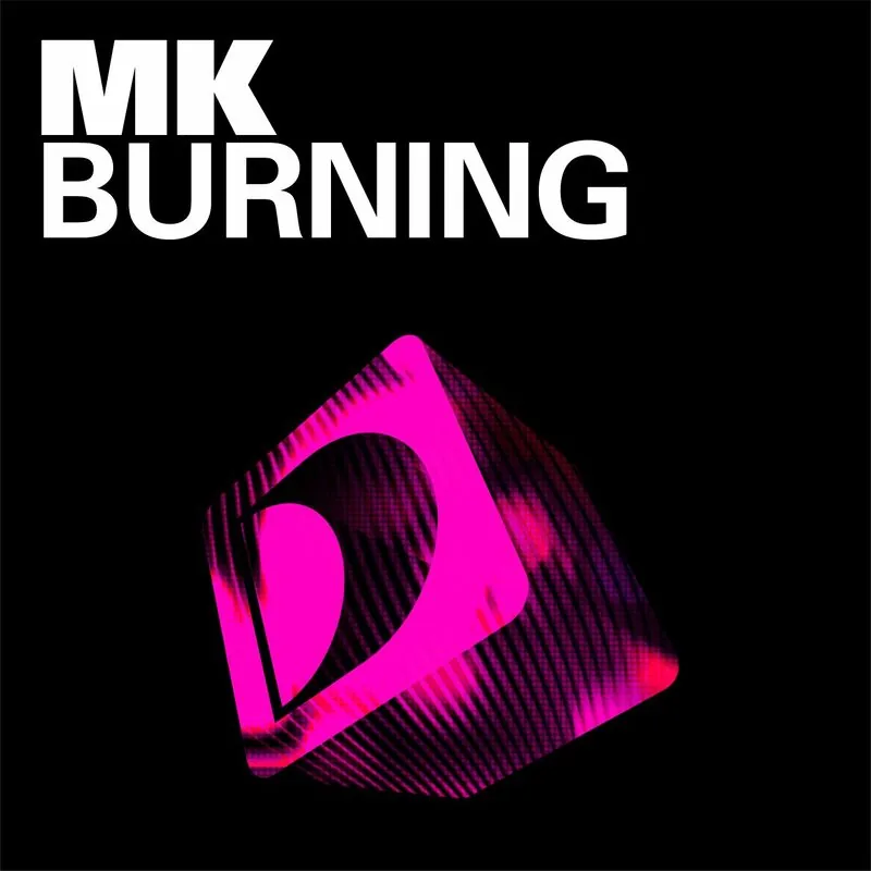 دانلود آهنگ Burning (Vibe Mix) از MK