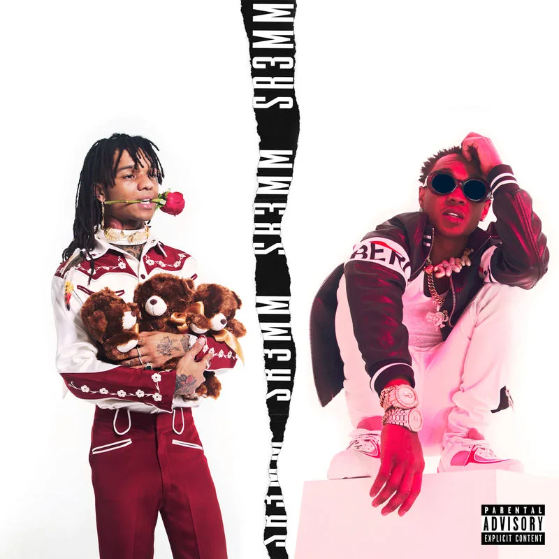 دانلود آهنگ CLOSE (From SR3MM) از Rae Sremmurd
