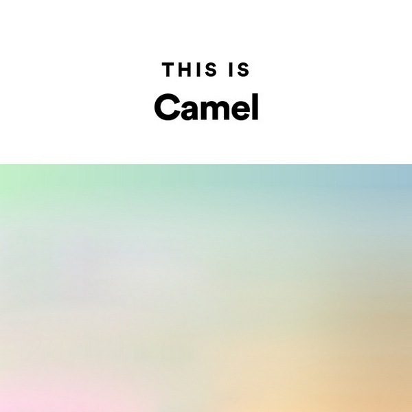 This is Camel
