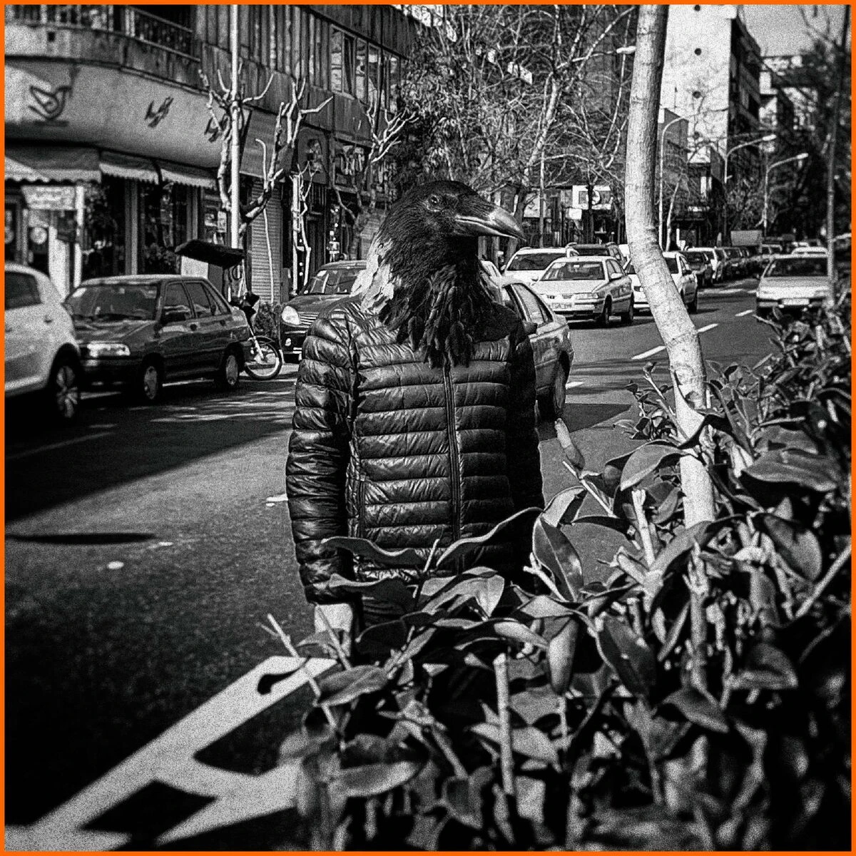 دانلود آهنگ Cheshm Siah (feat. Safir) از صفیر