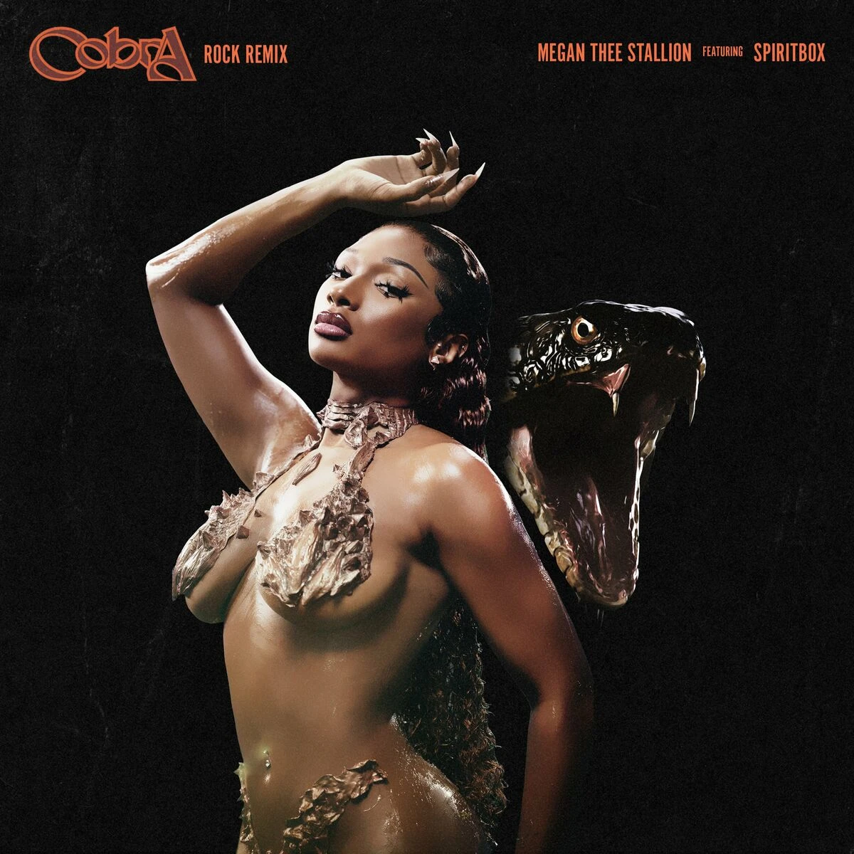 دانلود آهنگ Cobra (Rock Remix) [feat. Spiritbox] از Megan Thee Stallion