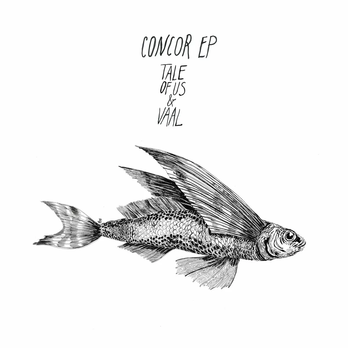دانلود آهنگ Concor از Tale Of Us