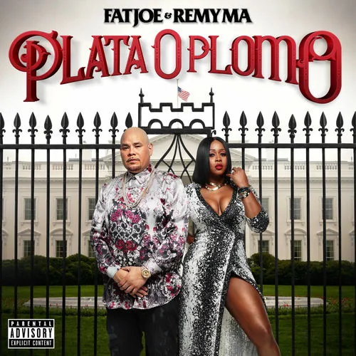 دانلود آهنگ Cookin از Fat Joe