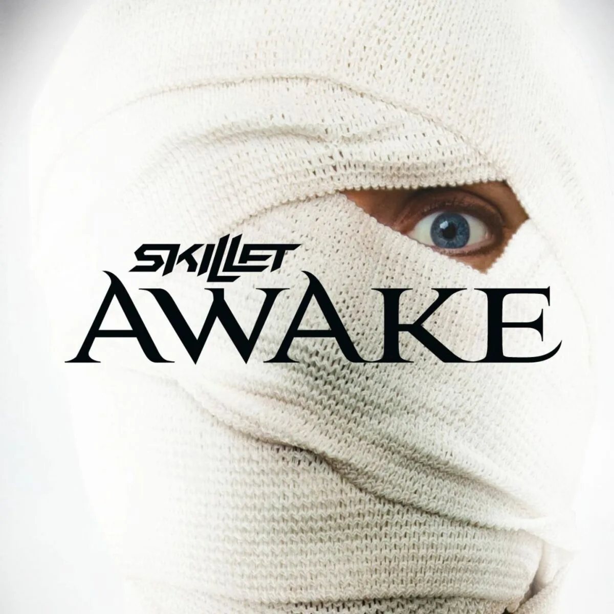 دانلود آهنگ Dead Inside از Skillet