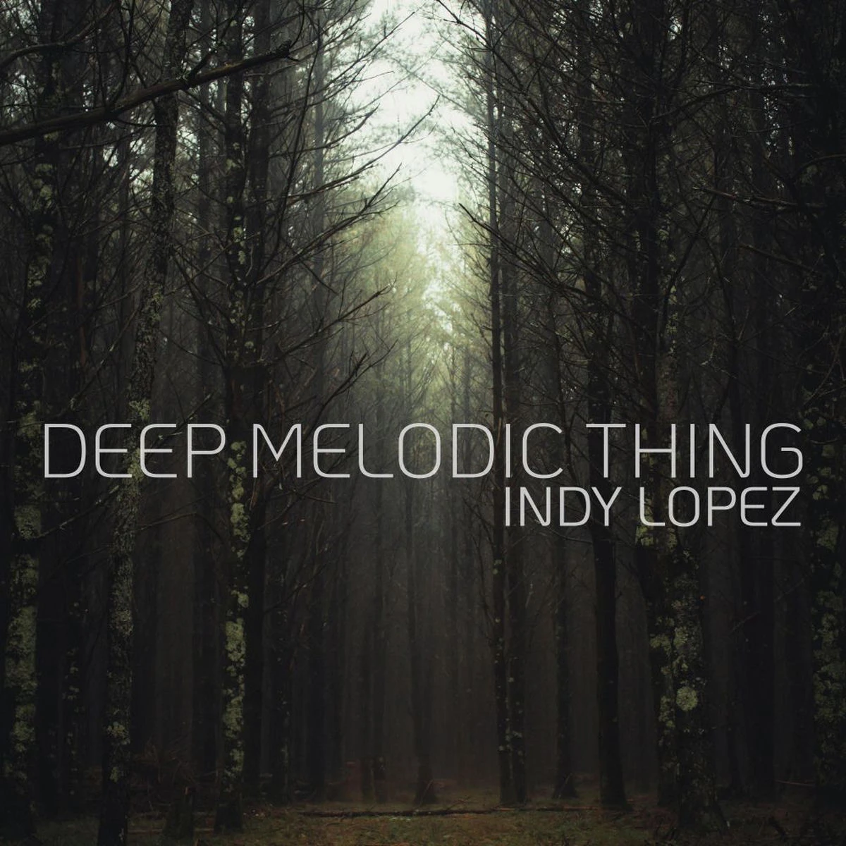 دانلود آهنگ Deep Melodic Thing (Stream Mix) از Indy Lopez