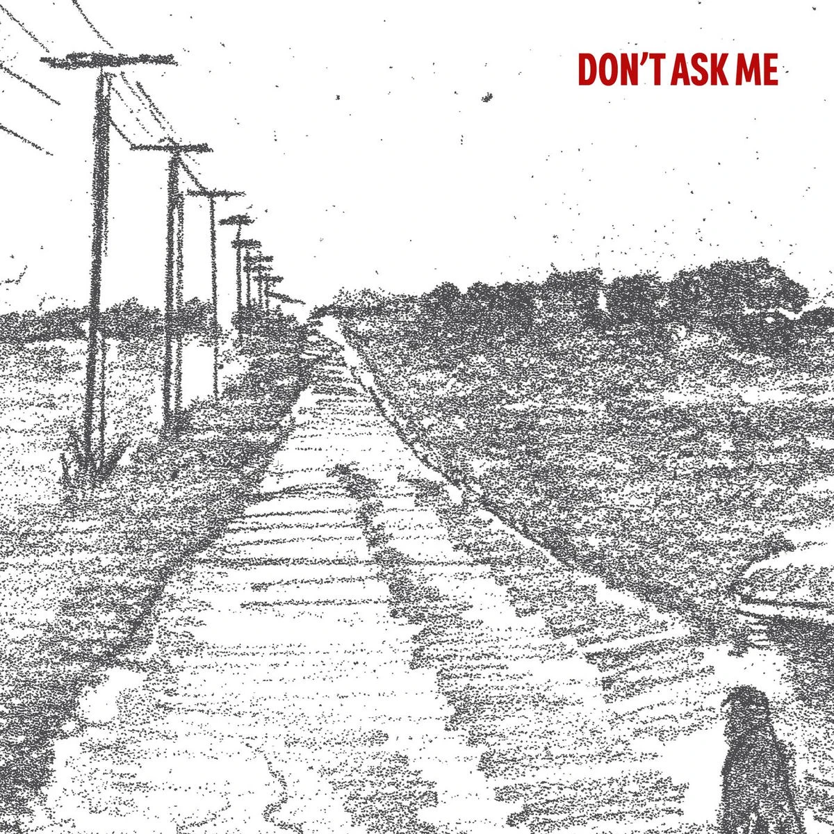 دانلود آهنگ Don't Ask Me از Vincent Mason