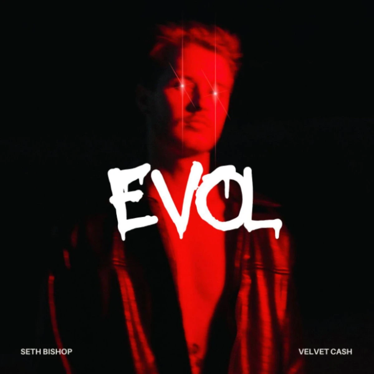 دانلود آهنگ Evol از Velvet Cash