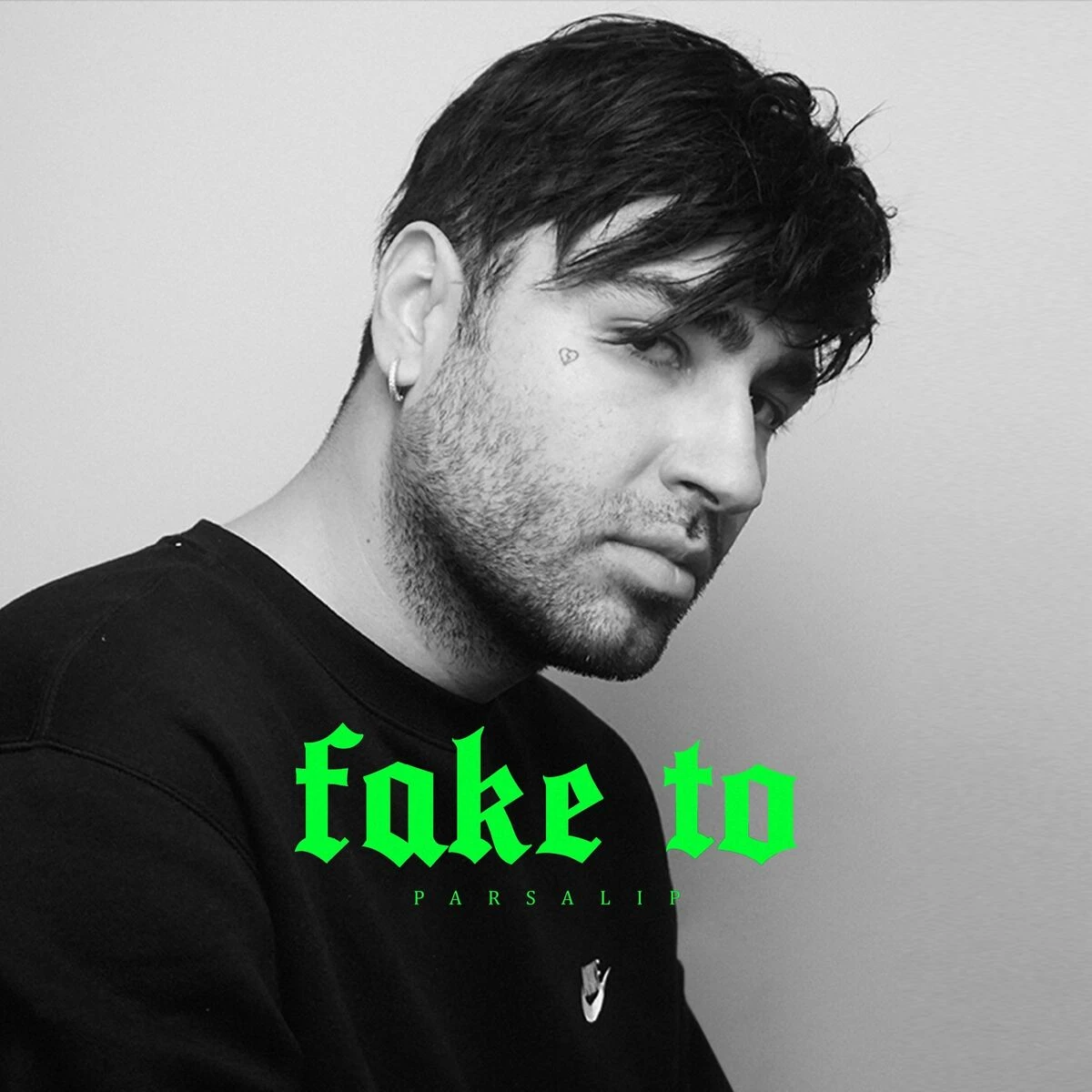دانلود آهنگ Fake To از پارسالیپ