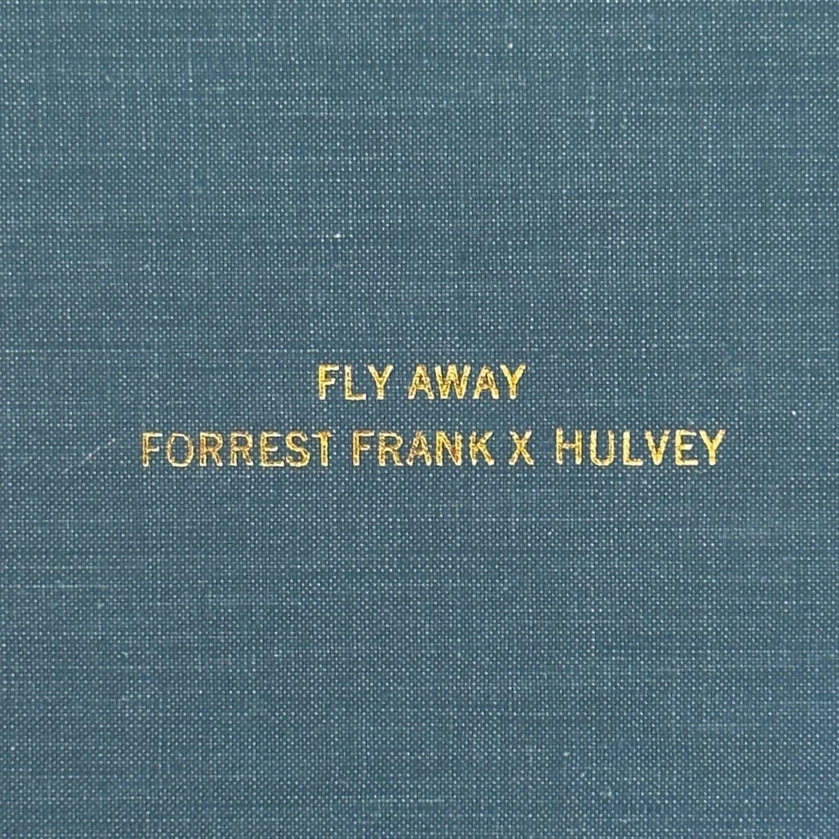 دانلود آهنگ Fly Away از Forrest Frank