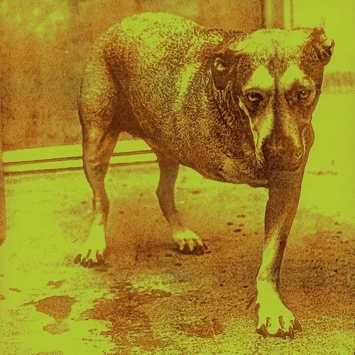 دانلود آهنگ Grind از Alice in Chains