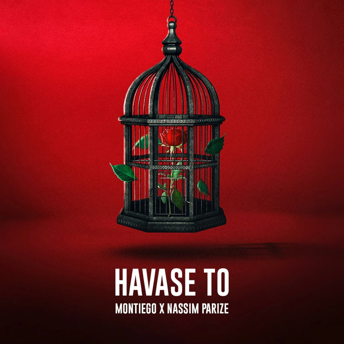 دانلود آهنگ Havase to (feat. Nassim) از مونتیگو