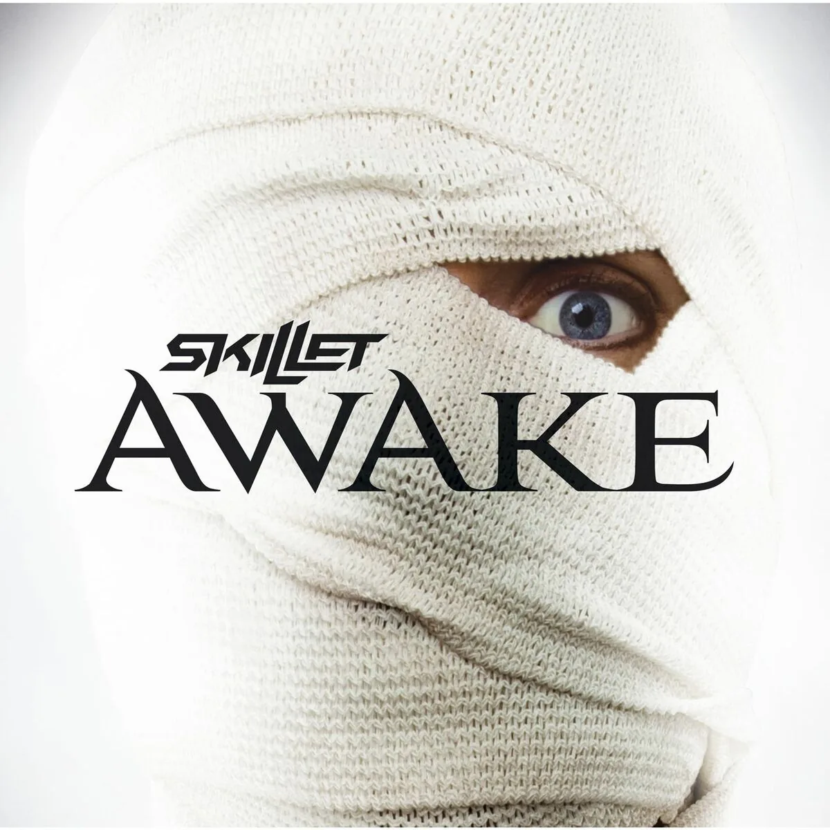 دانلود آهنگ Hero از Skillet
