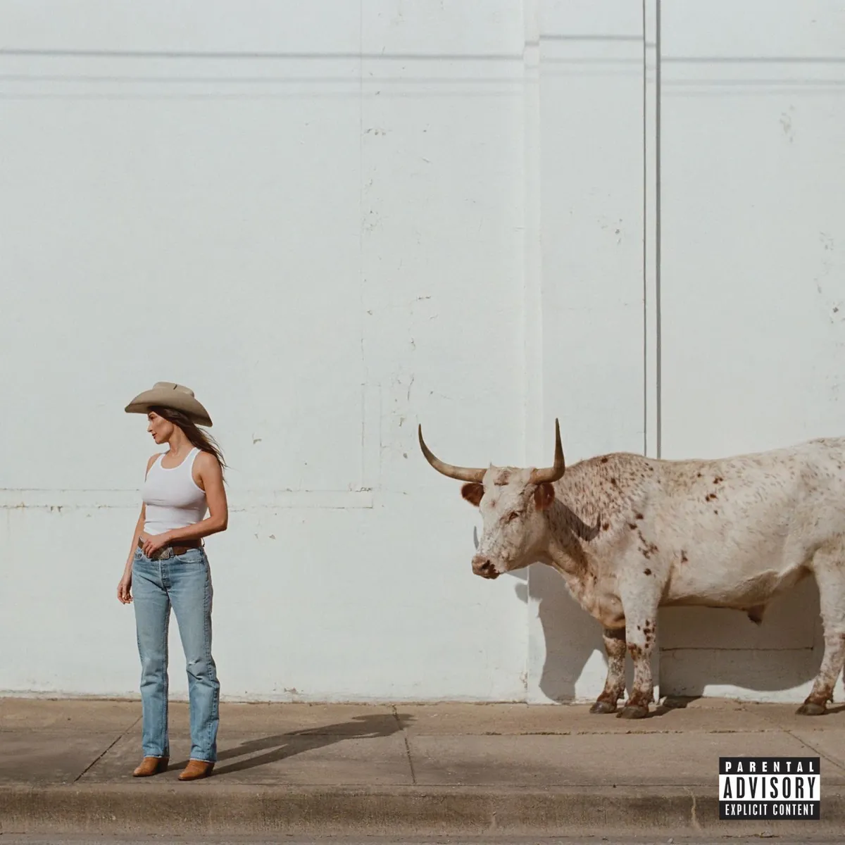 دانلود آهنگ Horses and Divorces از Kacey Musgraves