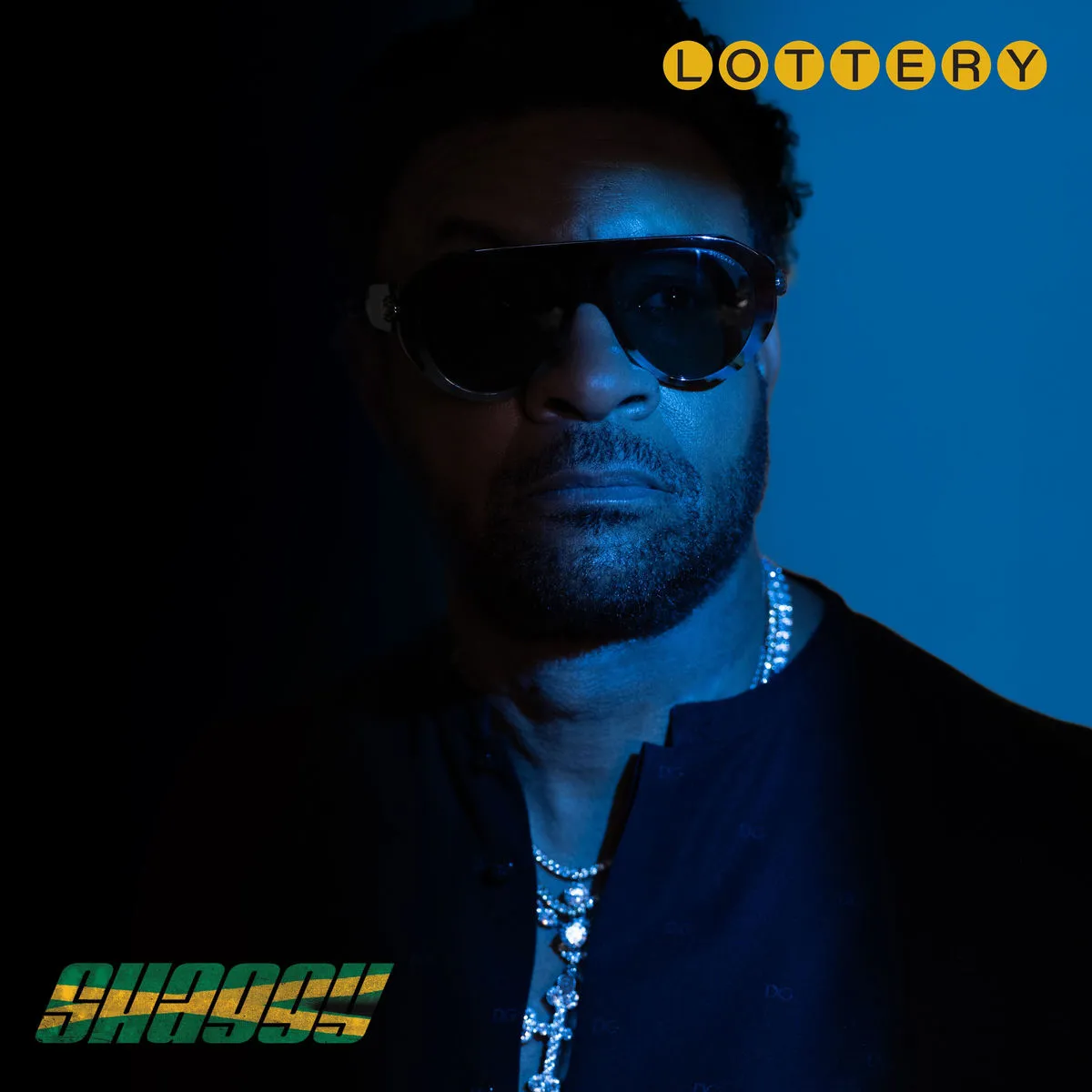 دانلود آهنگ I Gotta Work از Shaggy