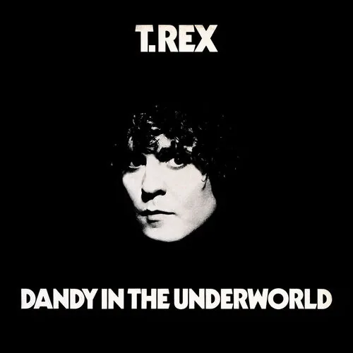 دانلود آهنگ I Love To Boogie از T. Rex