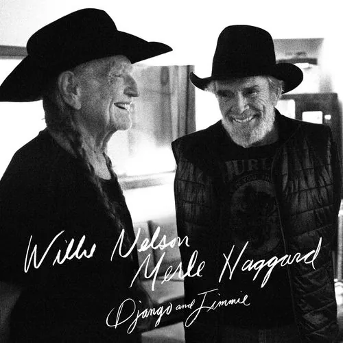 دانلود آهنگ It's All Going to Pot از Willie Nelson