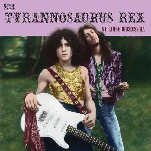 دانلود آهنگ Knight (Home Demo 1968) از T. Rex