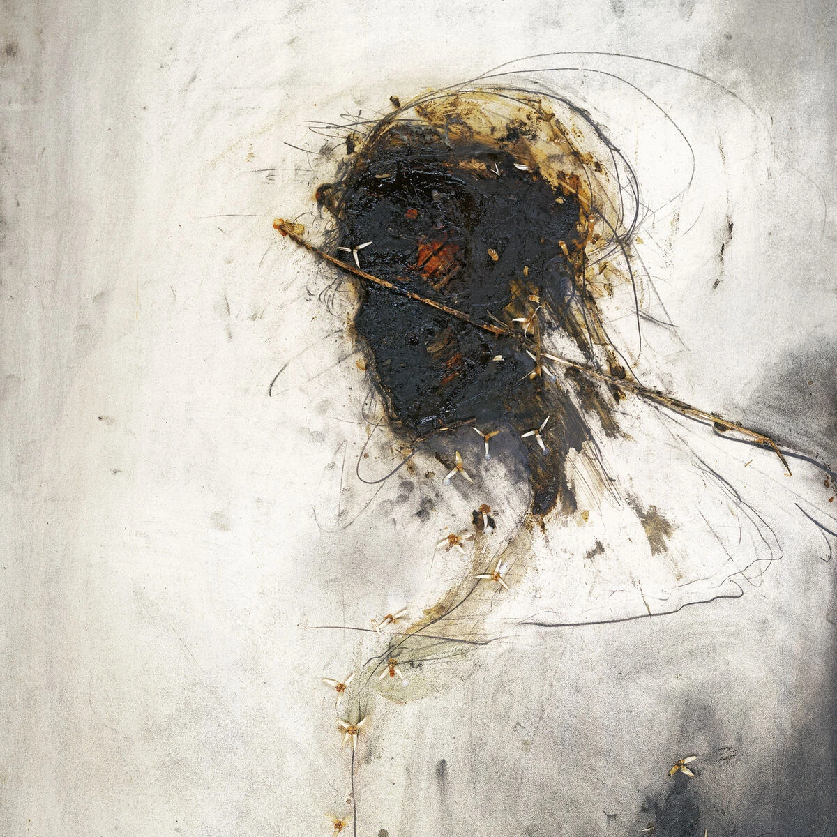 دانلود آهنگ Lazarus Raised از Peter Gabriel