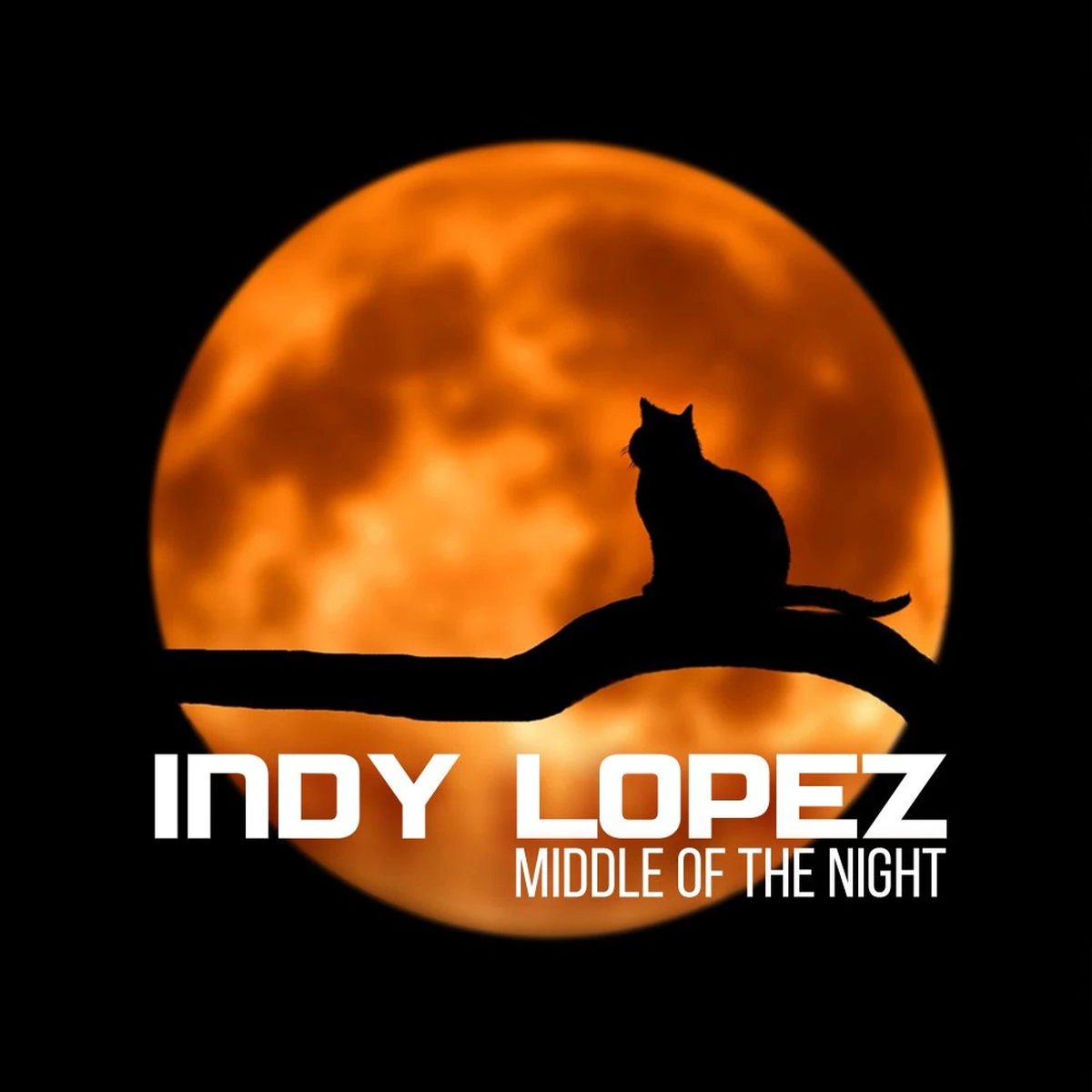 دانلود آهنگ Middle Of The Night (Mr. Lopez Deep Mix) از Indy Lopez