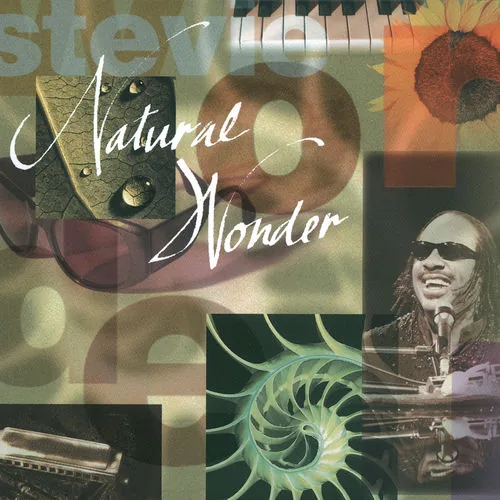 دانلود آهنگ Ms. & Mr. Little Ones (Live/1995) از Stevie Wonder