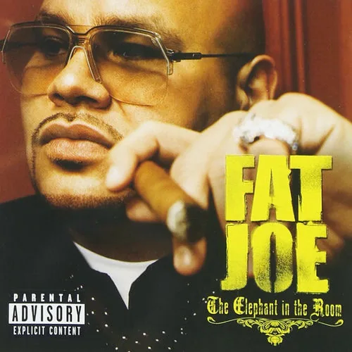 دانلود آهنگ My Conscience از Fat Joe