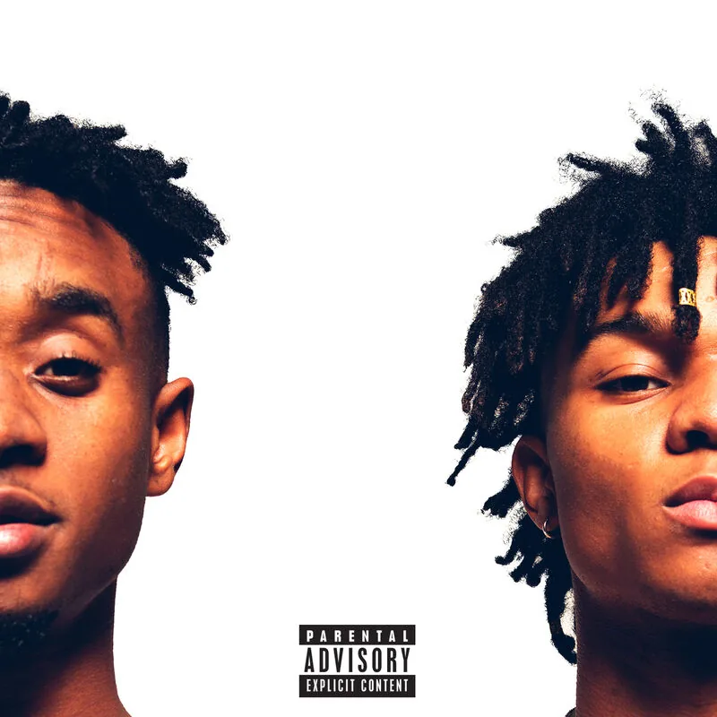 دانلود آهنگ No Type از Rae Sremmurd