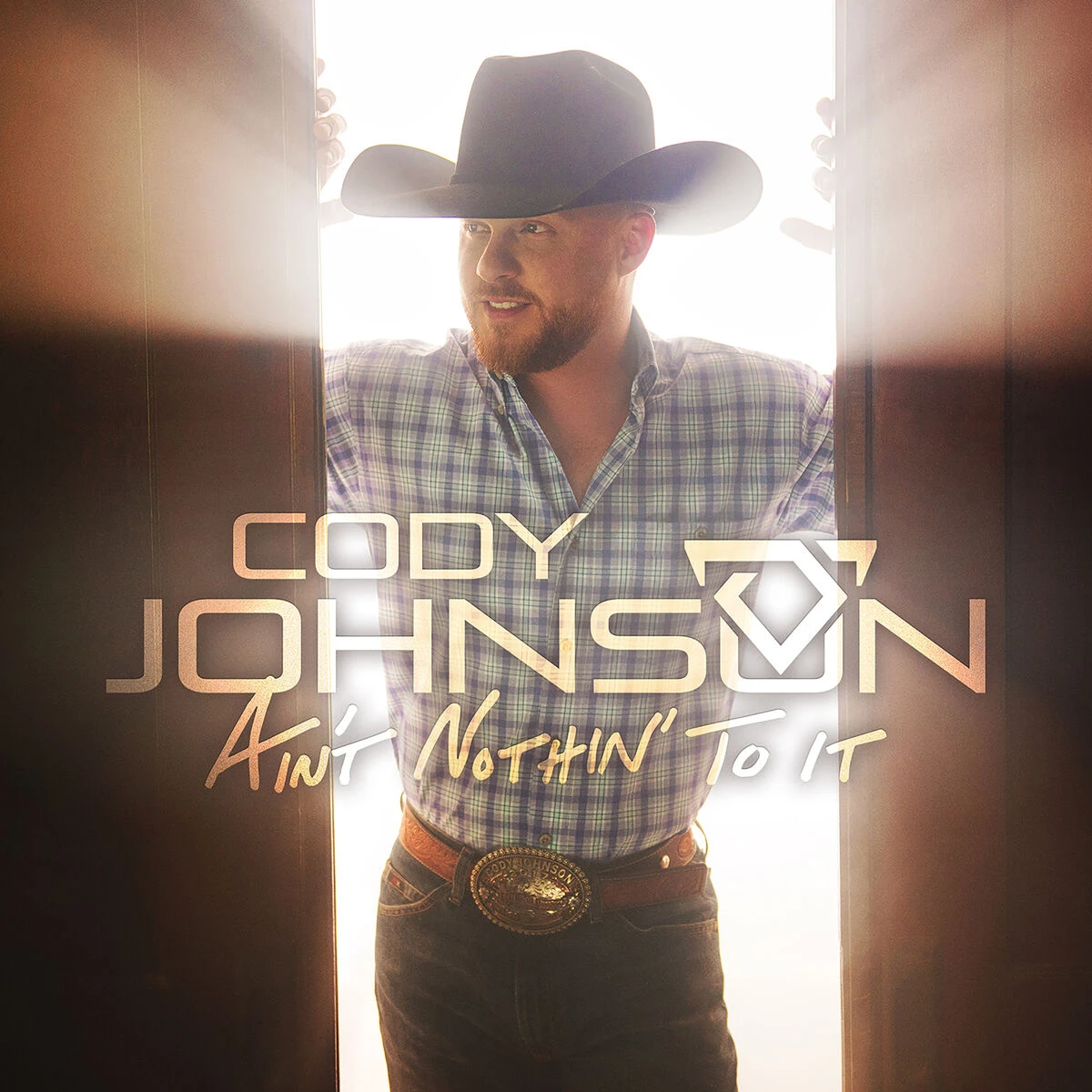 دانلود آهنگ Nothin' on You از Cody Johnson