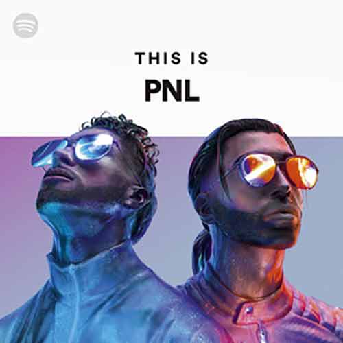 This is PNL