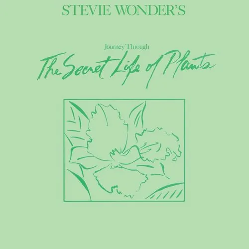 دانلود آهنگ Power Flower از Stevie Wonder