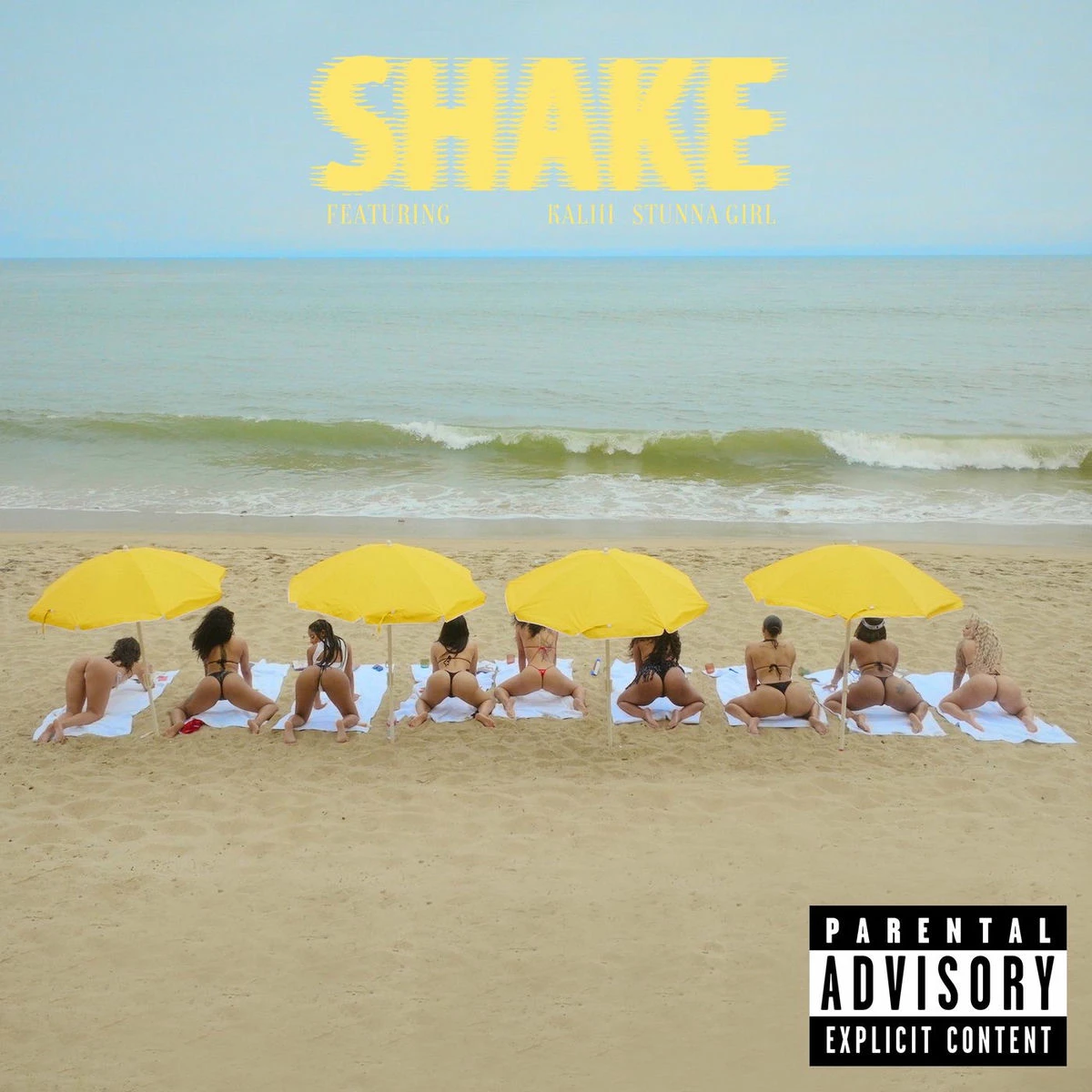 دانلود آهنگ SHAKE از Kaliii