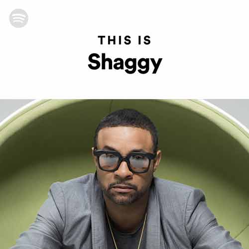 This is Shaggy