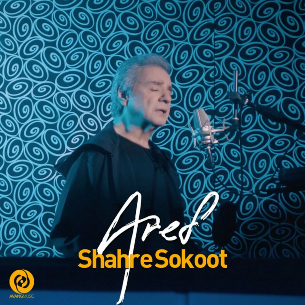 دانلود آهنگ Shahre Sokoot از عارف