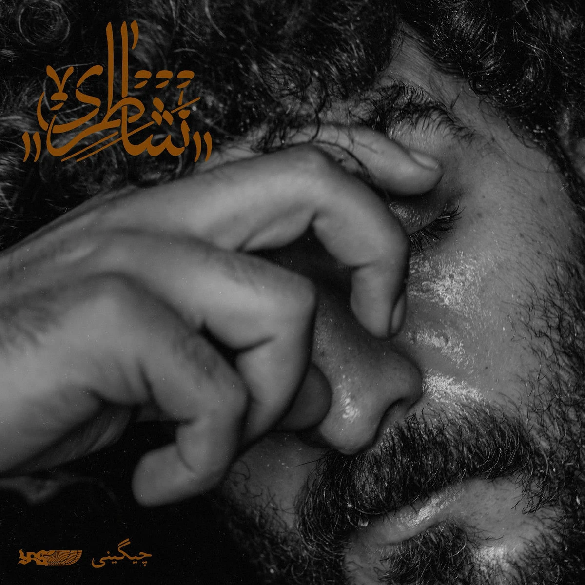 دانلود آهنگ Shateri از SoelChigini