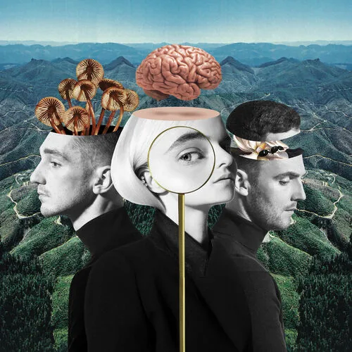 دانلود آهنگ Should've Known Better (feat. Anne-Marie) از Clean Bandit
