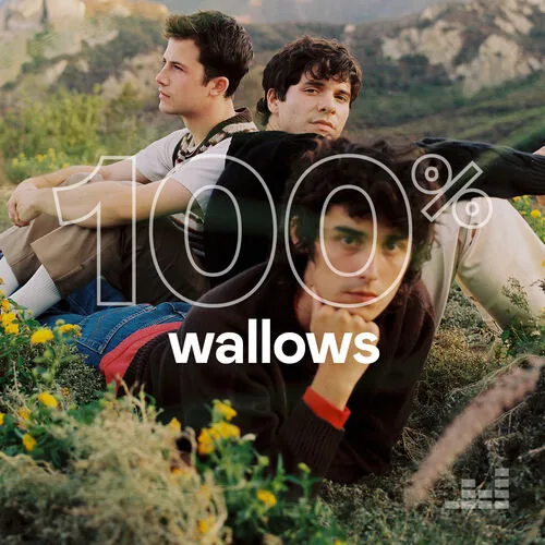 دانلود آهنگ Sidelines از Wallows