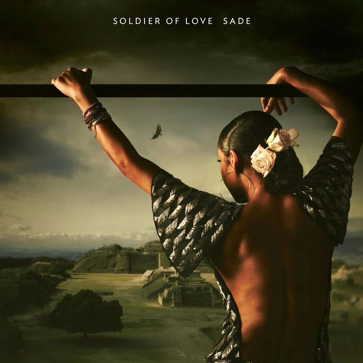 دانلود آهنگ Skin از Sade