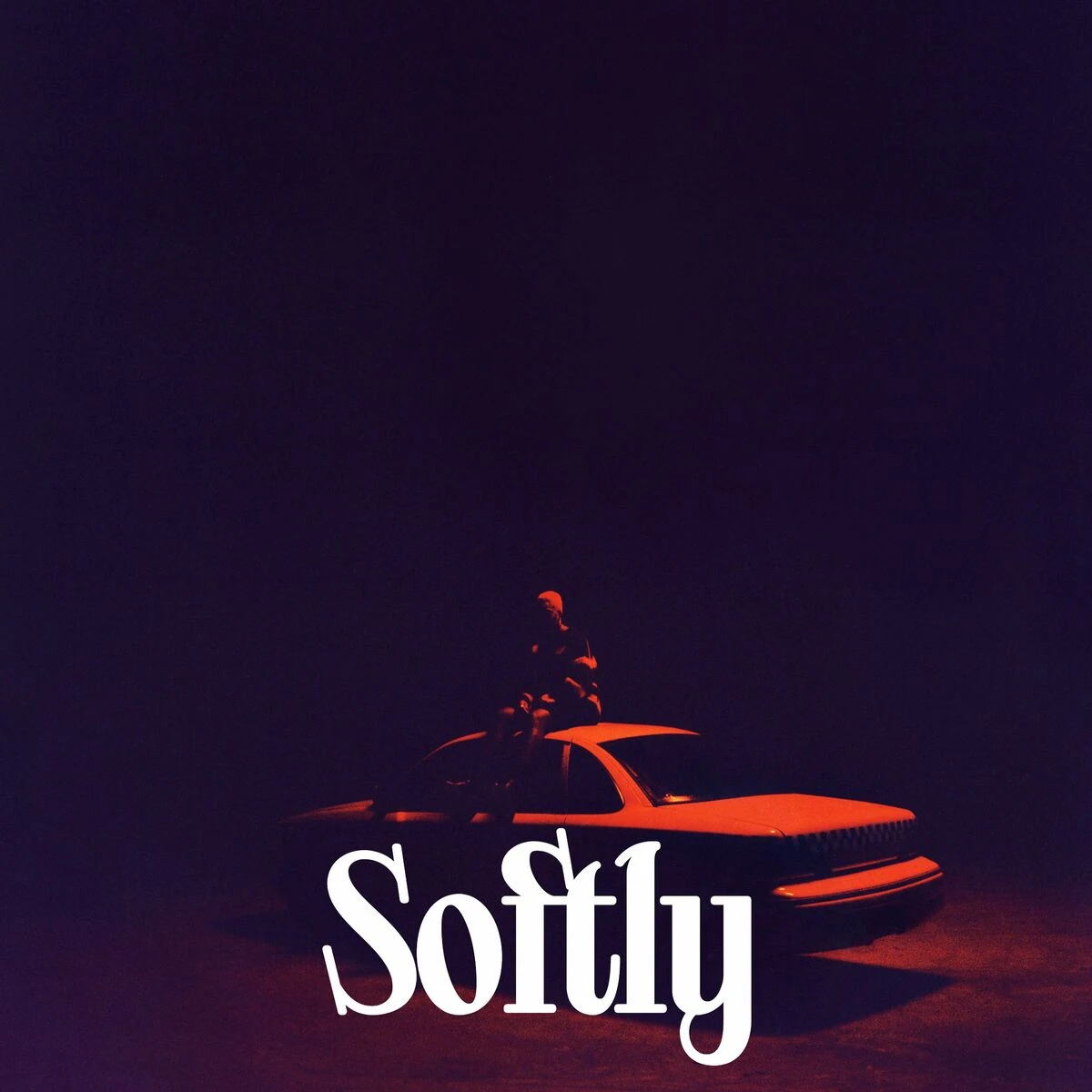 دانلود آهنگ Softly از Arlo Parks