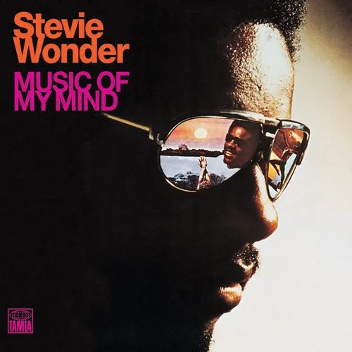 دانلود آهنگ Superwoman (Where Were You When I Needed You) از Stevie Wonder
