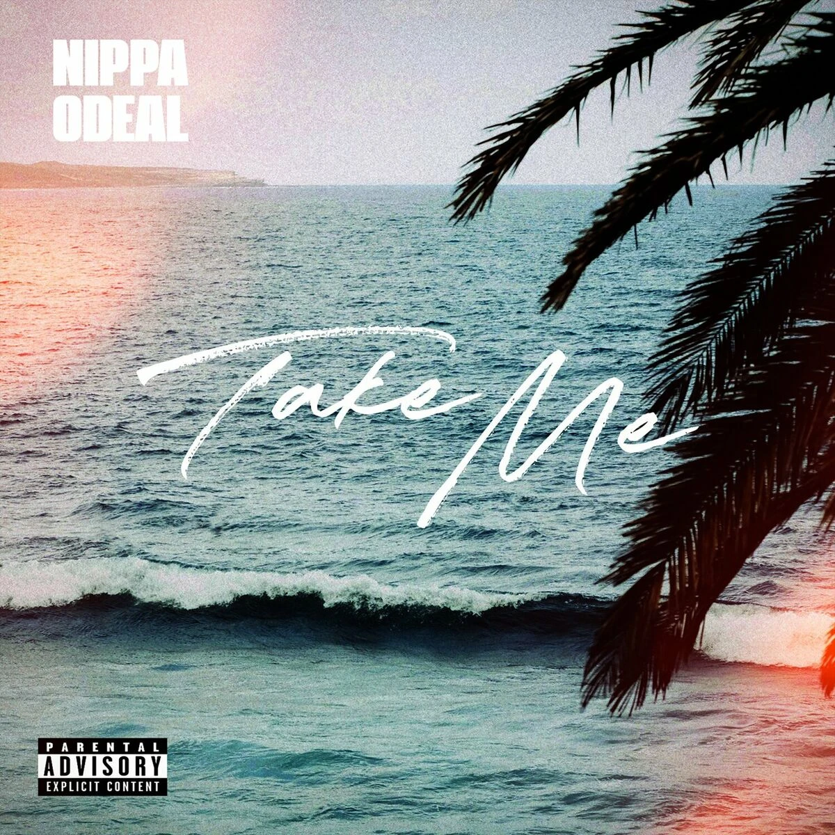 دانلود آهنگ Take Me از Nippa