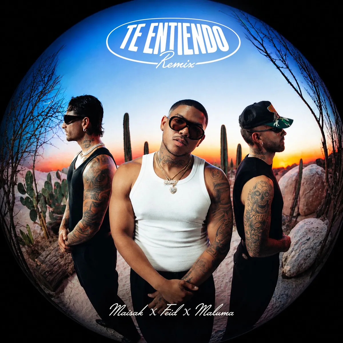 دانلود آهنگ Te Entiendo (Remix) از Maisak
