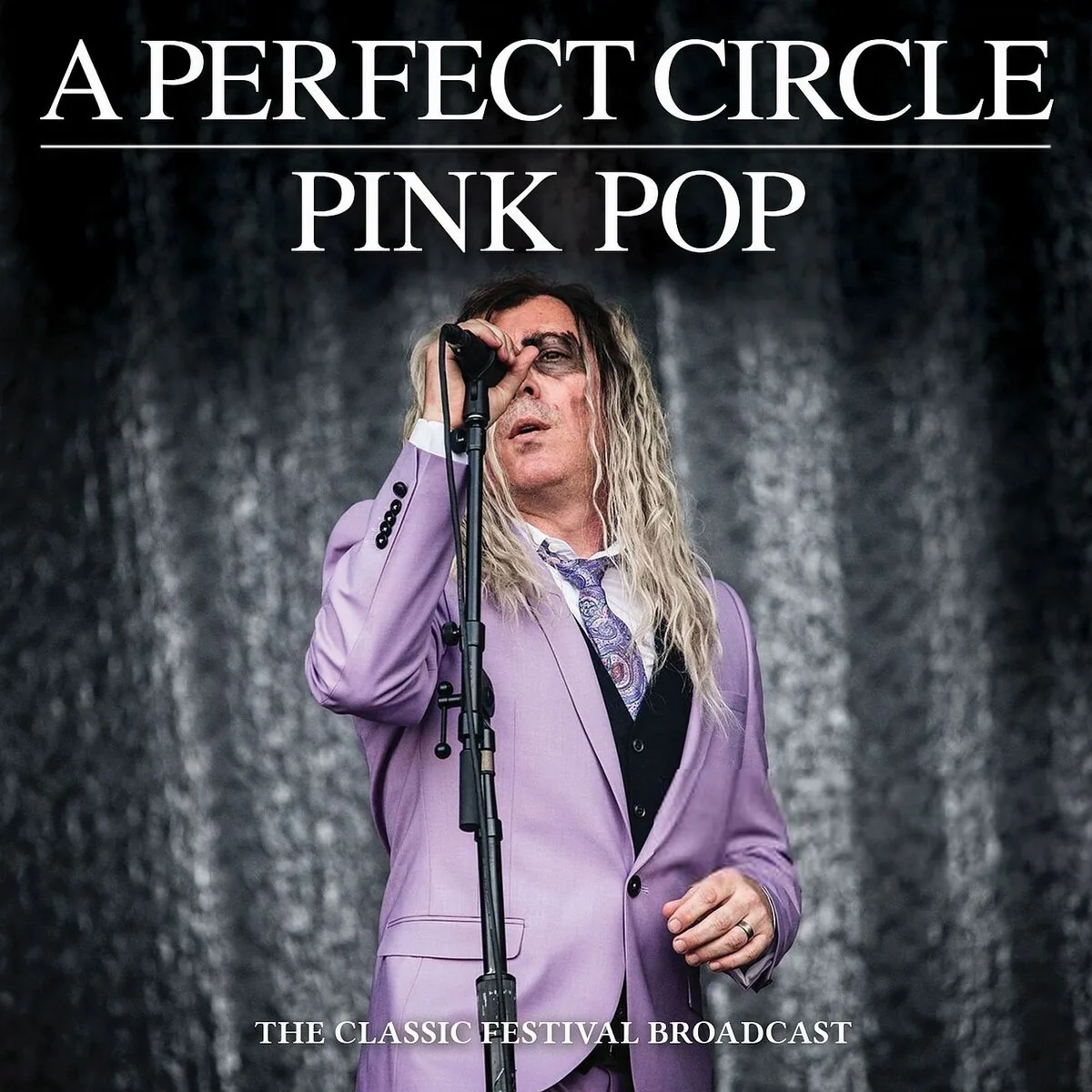 دانلود آهنگ The Hollow از A Perfect Circle