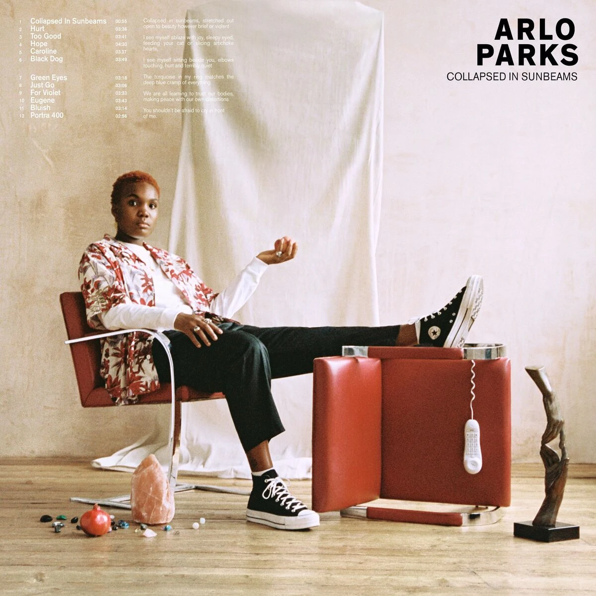 دانلود آهنگ Too Good از Arlo Parks