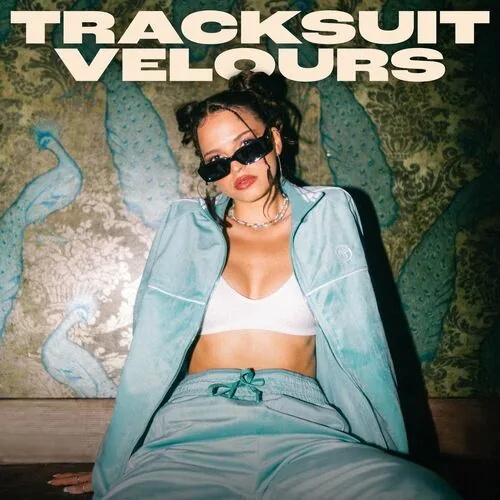 دانلود آهنگ Tracksuit Velours از Nina Chuba