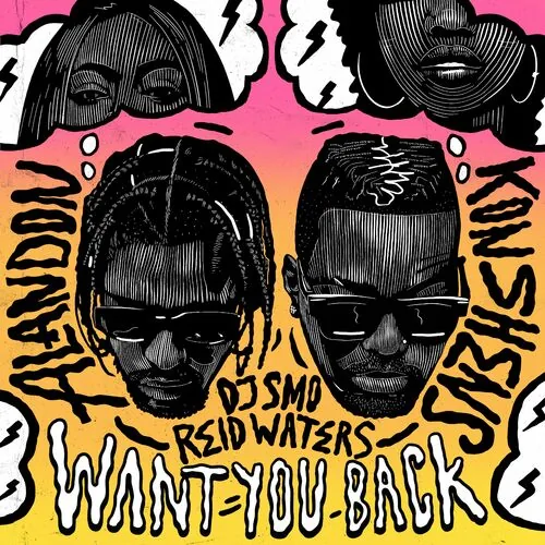 دانلود آهنگ Want You Back از Konshens