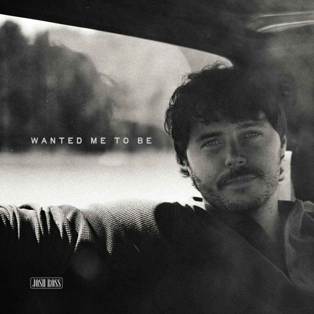 دانلود آهنگ Wanted Me To Be از Josh Ross