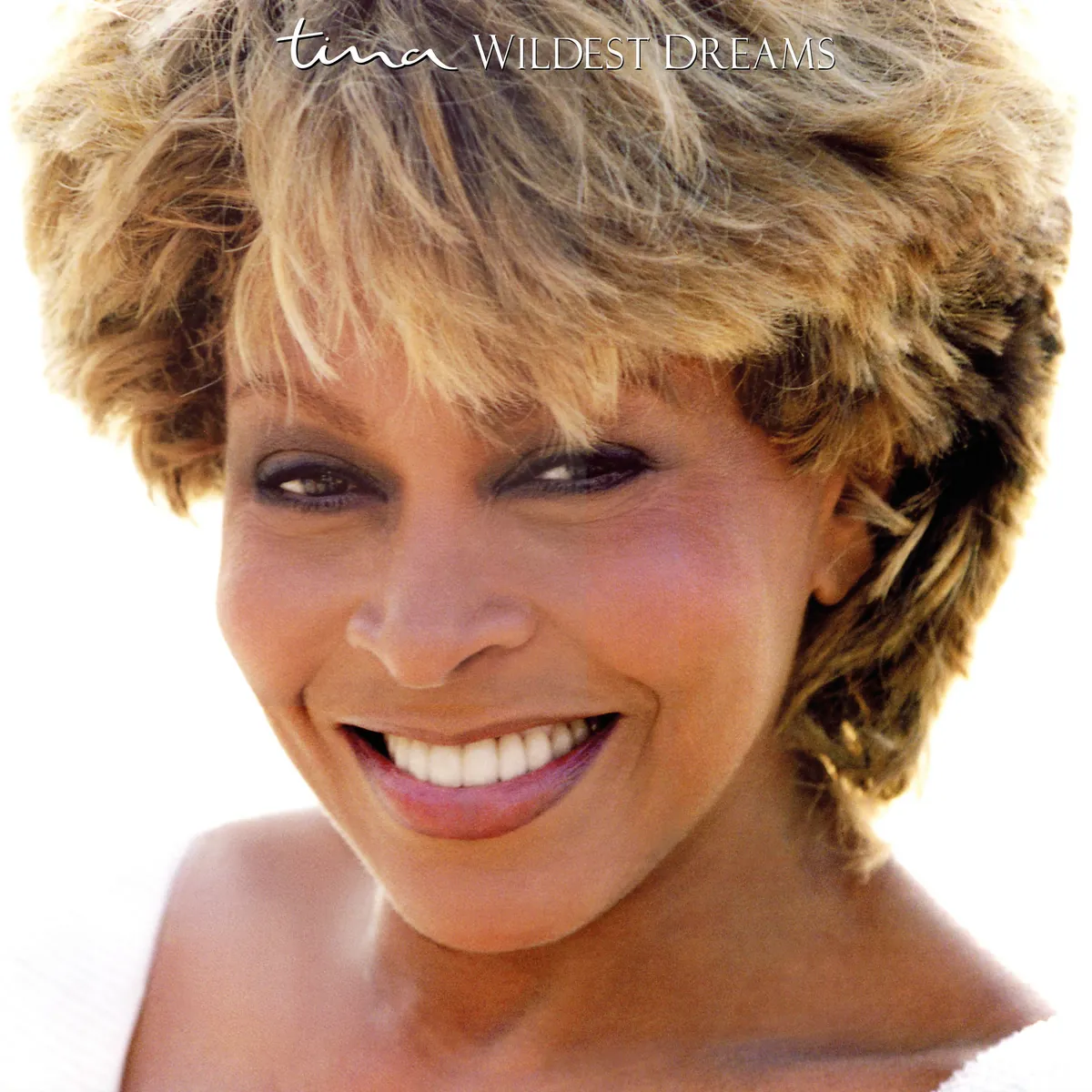 دانلود آهنگ Whatever You Want (Live At Wembley) از Tina Turner