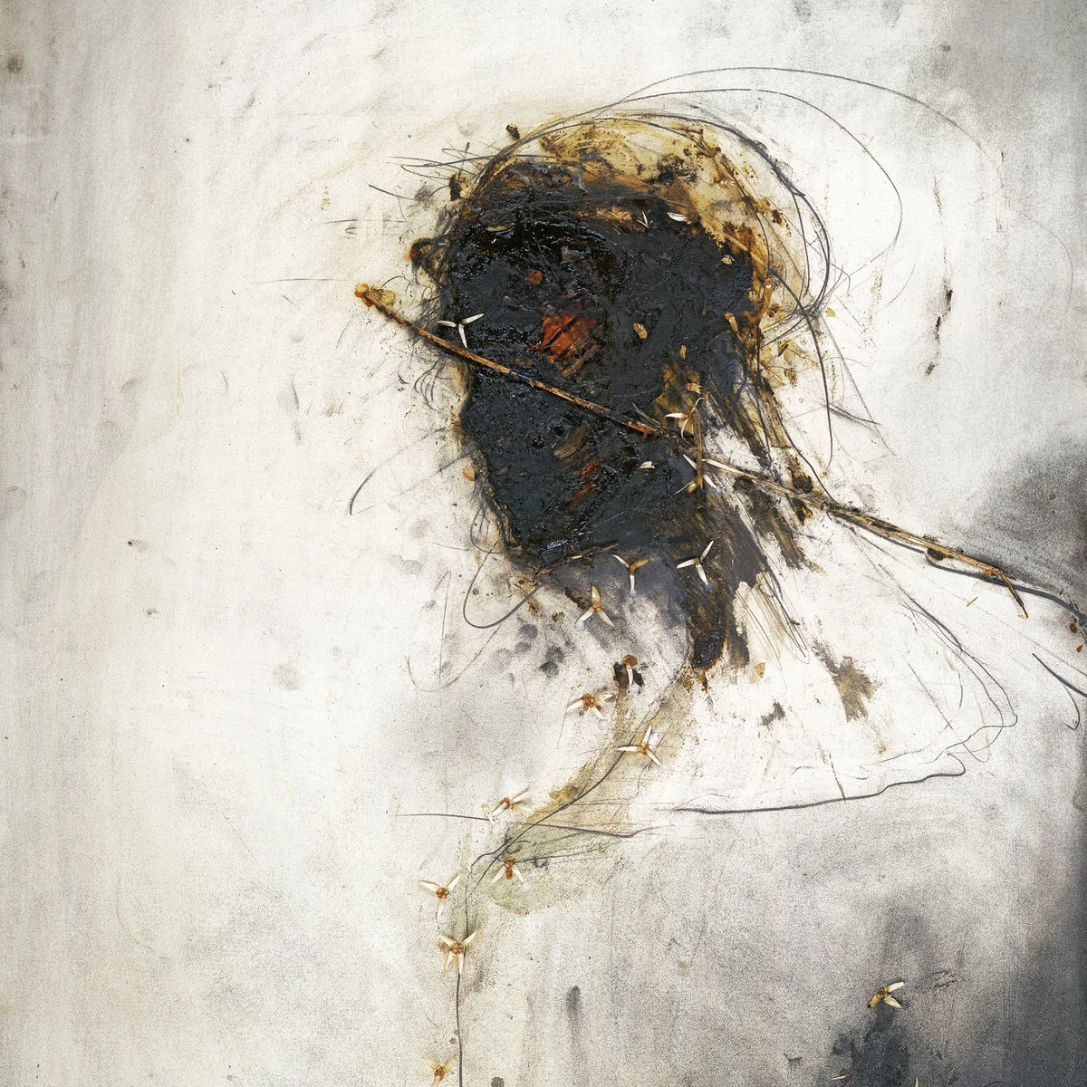 دانلود آهنگ With This Love از Peter Gabriel